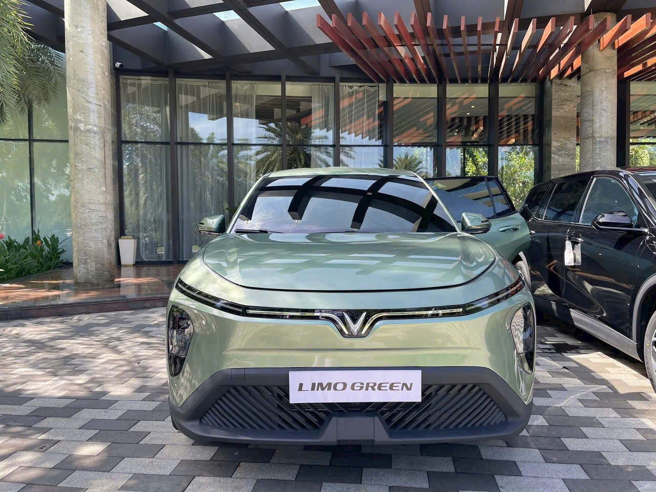 Ch&iacute;nh s&aacute;ch VinFast Limo Green 